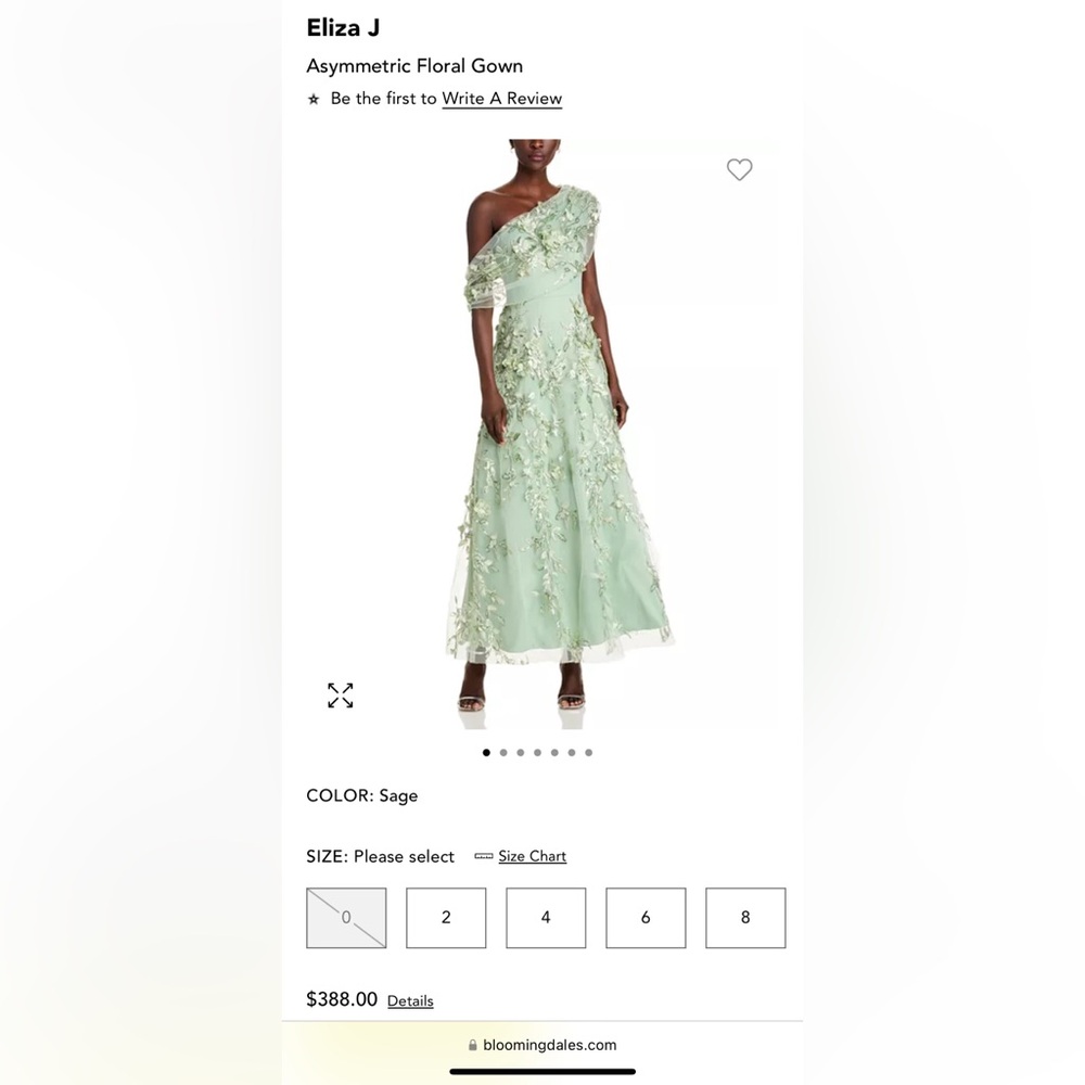 Elegant Floral Embroidered Dress